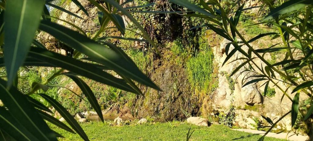 Villa Molino del Caracol Benaoján Exterior foto